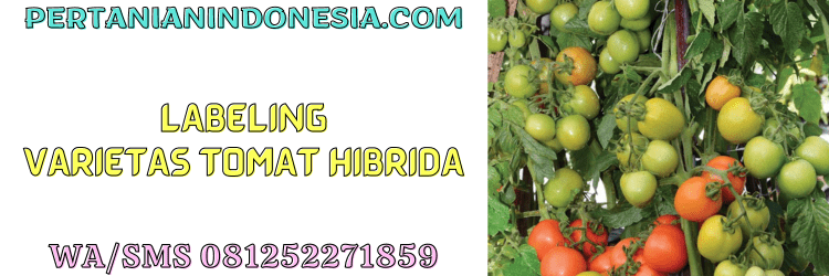 labeling,tanaman,petani,budidaya,hybrid,f1,pertanian indonesia